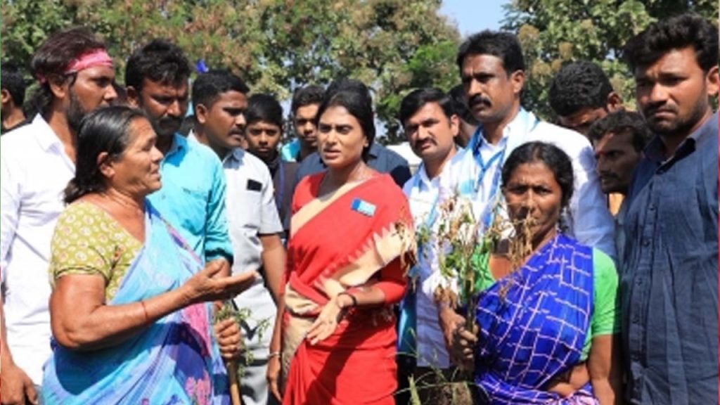 Y S Sharmila Telangana Elections