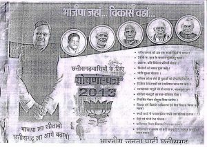 Bjp 2013