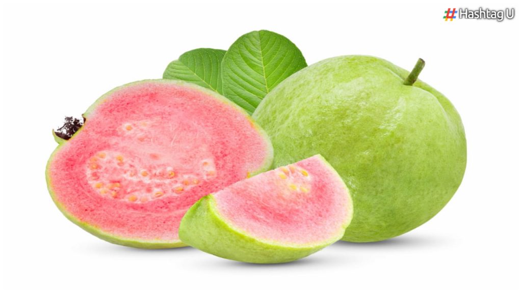 Guava Will Not Only Take Care Of Health But Will Also Make Farmers Rich.