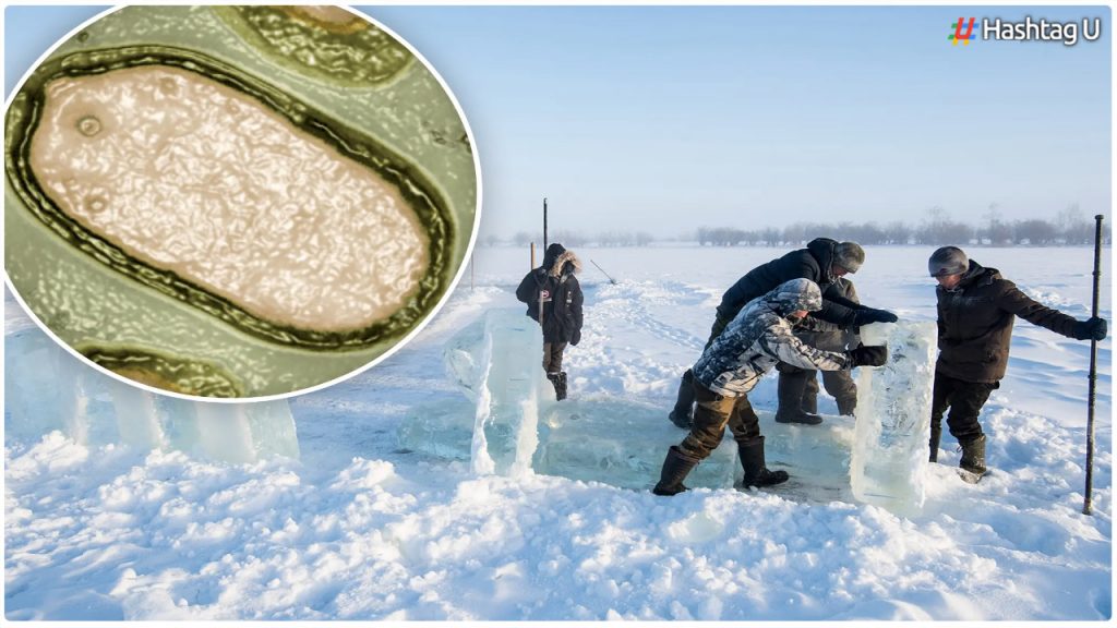 Ancient 'zombie Virus' Found In Siberia Could Cause New Pandemic