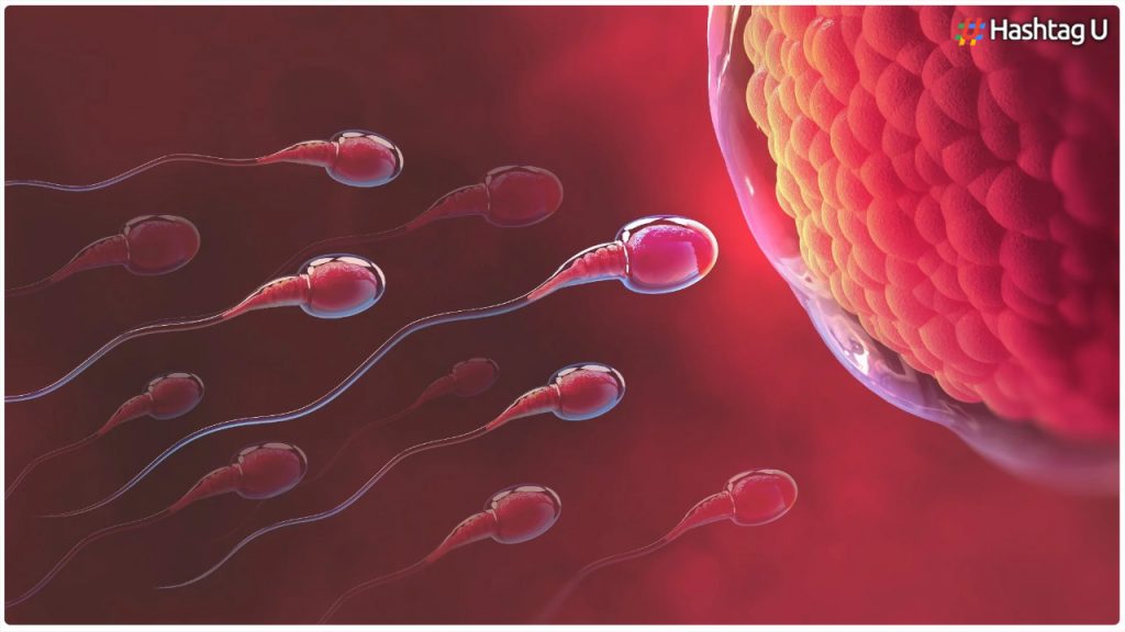 Covid 19 Can Affect Sperm Quality And Count