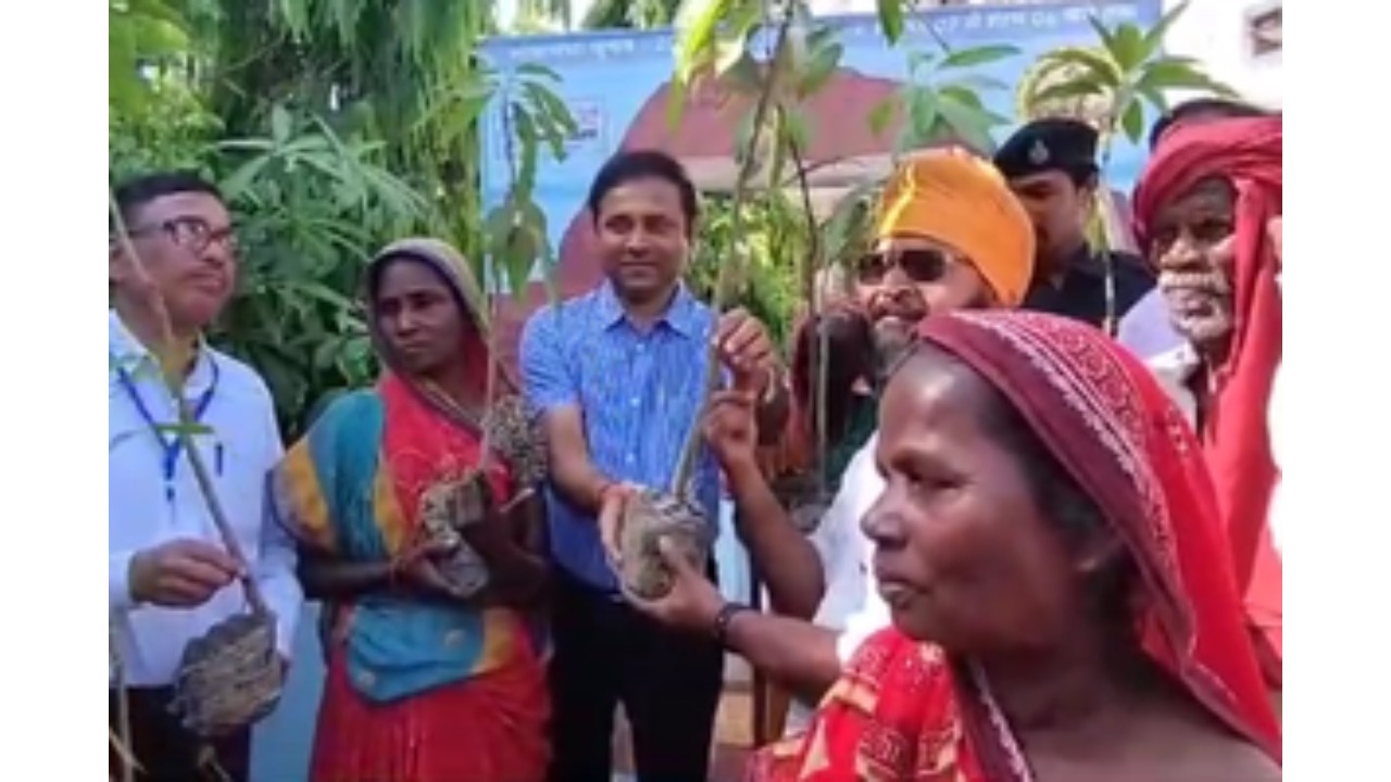 भागलपुर में पर्यावरण संतुलन के लिए अनोखी पहल, पहले 100 वोटर्स को दिए गए आम के पौधे