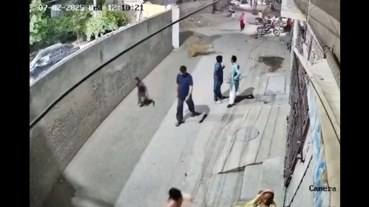 लाहौर में पालतू शेर का हमला: महिला और बच्चों पर झपटा, सीसीटीवी में कैद हुई घटना